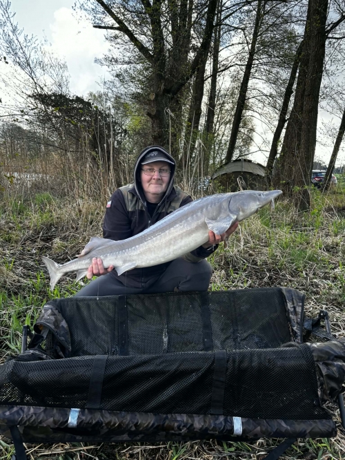 Maciek / 10kg cm Maciek